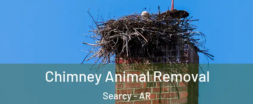 Chimney Animal Removal Searcy - AR