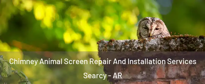  Chimney Animal Screen Repair And Installation Services Searcy - AR