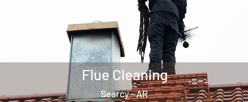  Flue Cleaning Searcy - AR