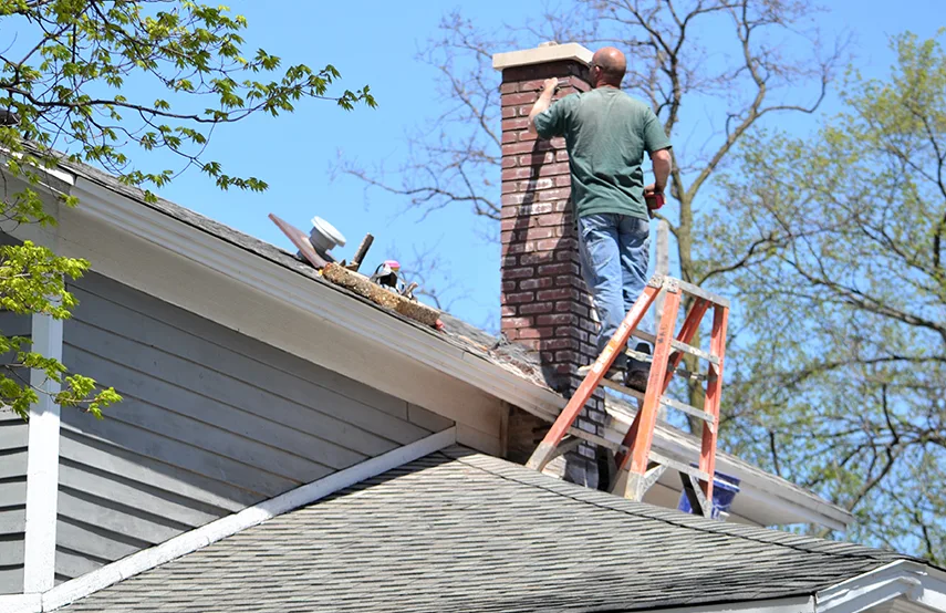Chimney & Fireplace Inspections Services in Searcy, AR